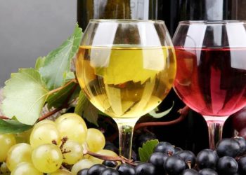 Capacitación en vino