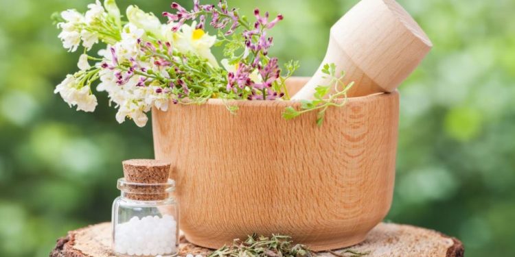 Plantas medicinales