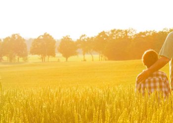 Noticias del Agro
