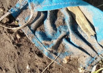 Contaminacion-de-microplasticos-en-las-playas