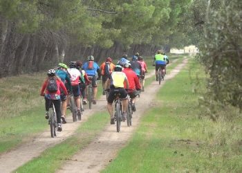 Cicloturismo por los olivares de Dorrego