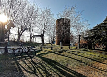 Saldungaray